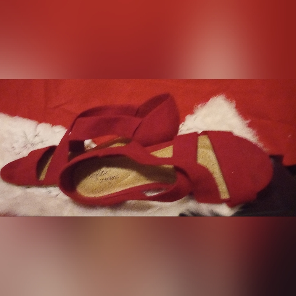 Red Wedges - Picture 4 of 7